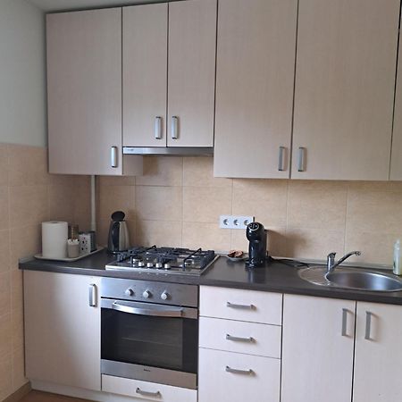 Welcoming Apartment Анікщяй Екстер'єр фото