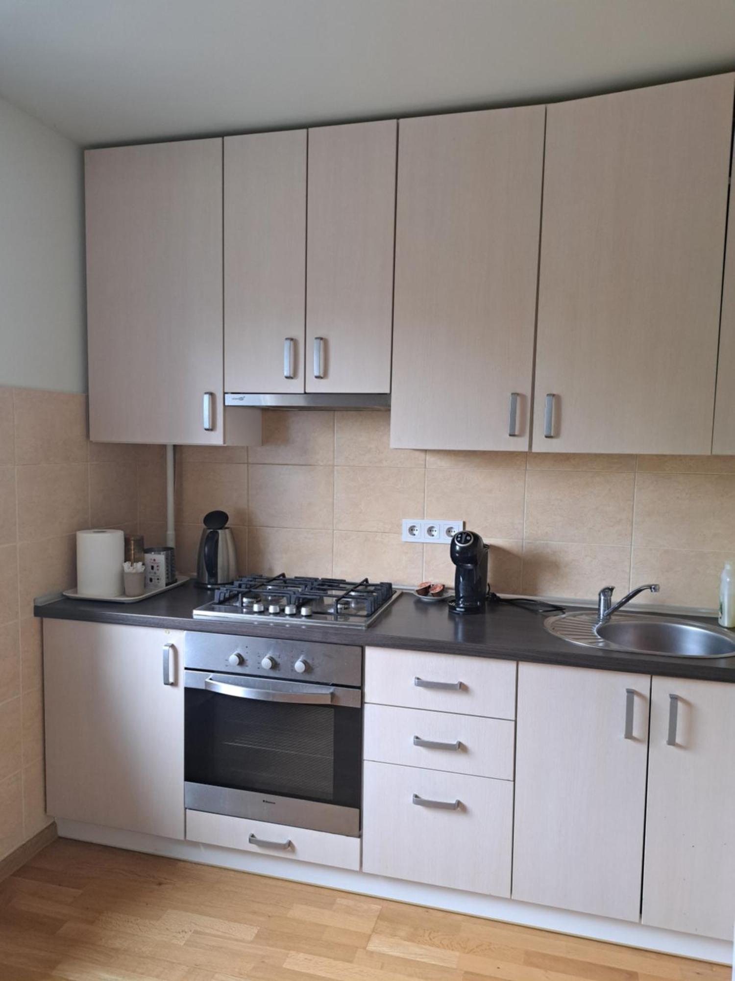 Welcoming Apartment Анікщяй Екстер'єр фото