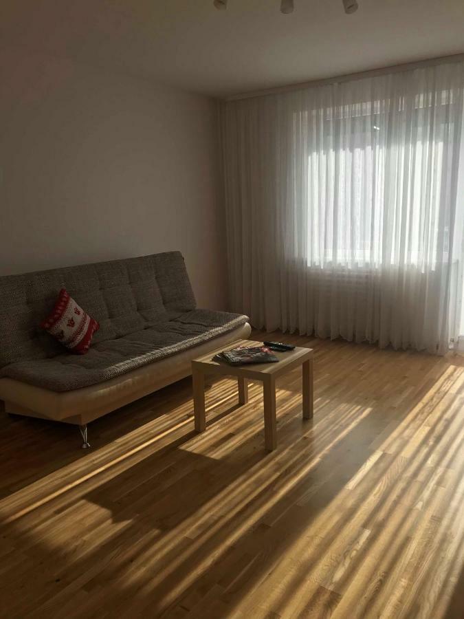 Welcoming Apartment Анікщяй Екстер'єр фото