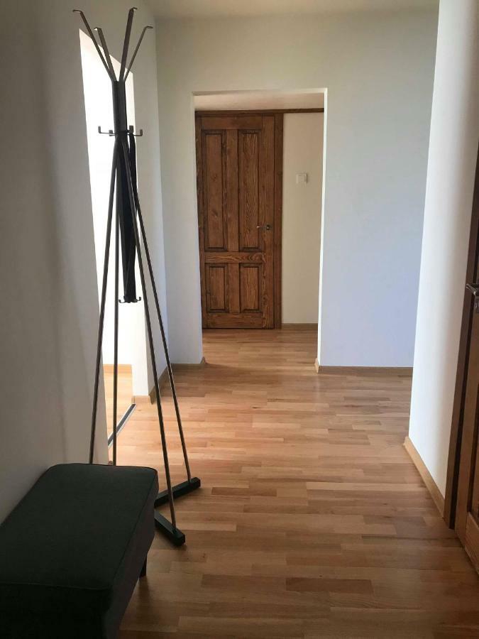 Welcoming Apartment Анікщяй Екстер'єр фото